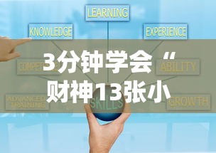 通用版本“十三水万能辅助器使用方法”(原来确实是有插件)