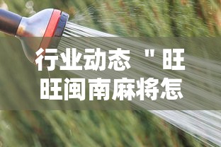 行业动态 ＂旺旺闽南麻将怎么开挂”开挂辅助脚本+详细