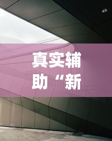 真实辅助“新海米大厅有挂吗”(详细透视教程)