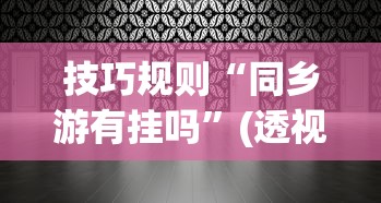 技巧规则“同乡游有挂吗”(透视)开挂详细教程