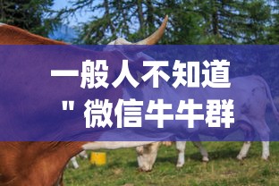 一般人不知道 ＂微信牛牛群有透视挂吗”作弊挂(辅助外挂+