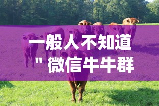 一般人不知道 ＂微信牛牛群有透视挂吗”作弊挂(辅助外挂+