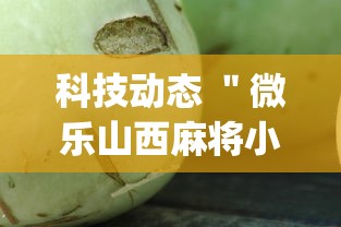 科技动态 ＂微乐山西麻将小程序怎么可以赢”开挂(透视)辅助
