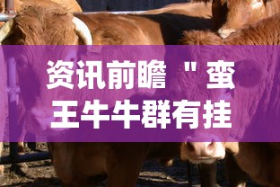 资讯前瞻 ＂蛮王牛牛群有挂吗	”辅助挂下载”(最新开挂教程)