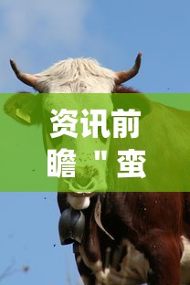 资讯前瞻 ＂蛮王牛牛群有挂吗”辅助挂下载	”(最新开挂教程)