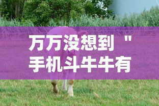 万万没想到 ＂手机斗牛牛有挂吗”掌握辅助功能必胜规则