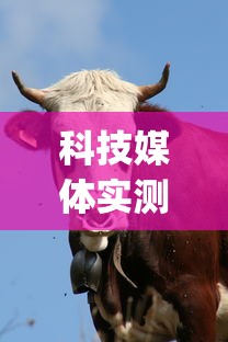 科技媒体实测“蛮王牛牛群有挂吗”(最新透视辅助上线)