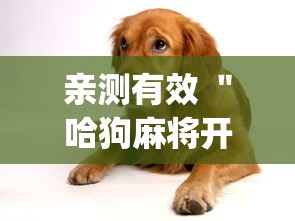 亲测有效 ＂哈狗麻将开挂”开挂(透视)辅助
