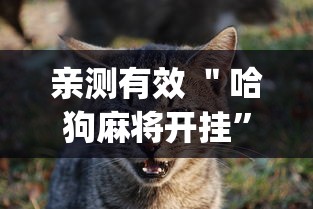 亲测有效 ＂哈狗麻将开挂”开挂(透视)辅助