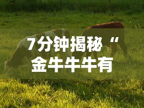 7分钟揭秘“金牛牛牛有挂吗”详细辅助教程分享